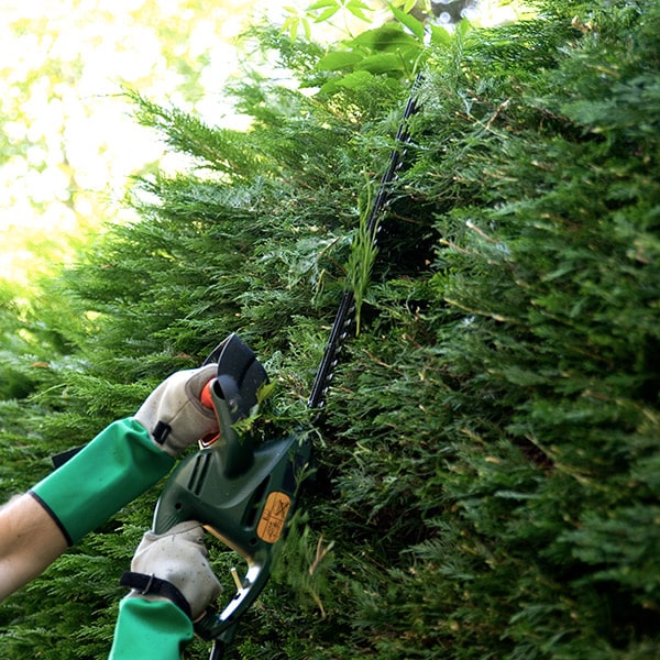 ditta-realizzazione-giardino-privato-reggio-emilia