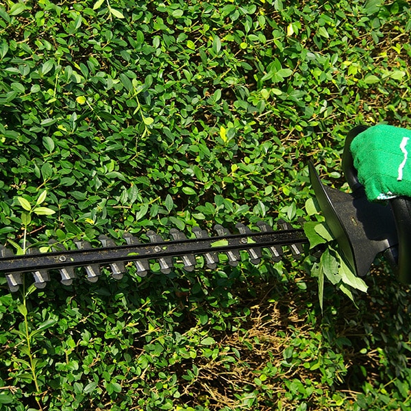 impresa-per-potature-e-manutenzione-verde-san-ilario-enza